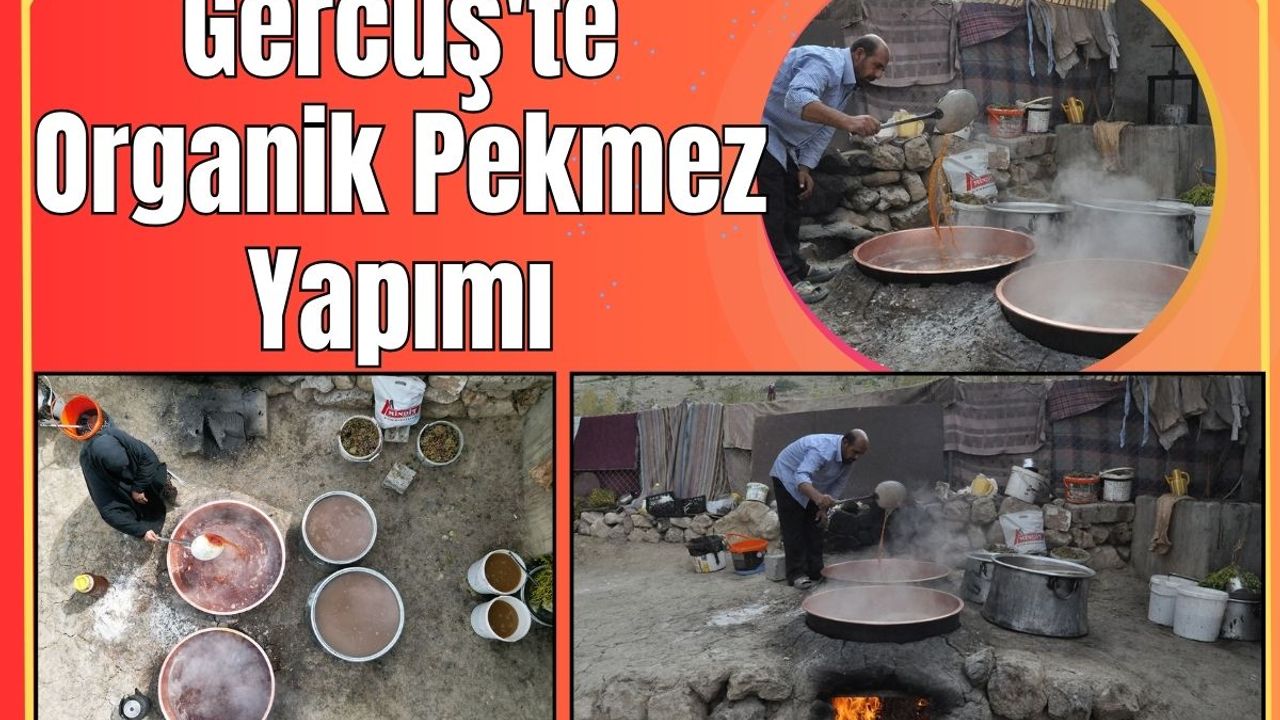 Gercüş'te Organik Pekmez Yapımı